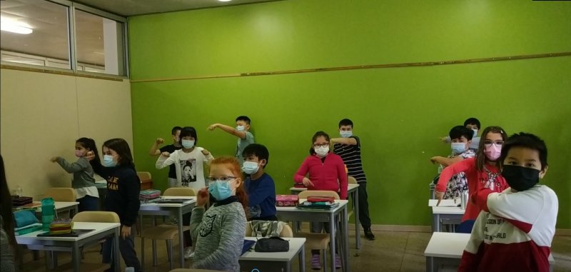 terza-D